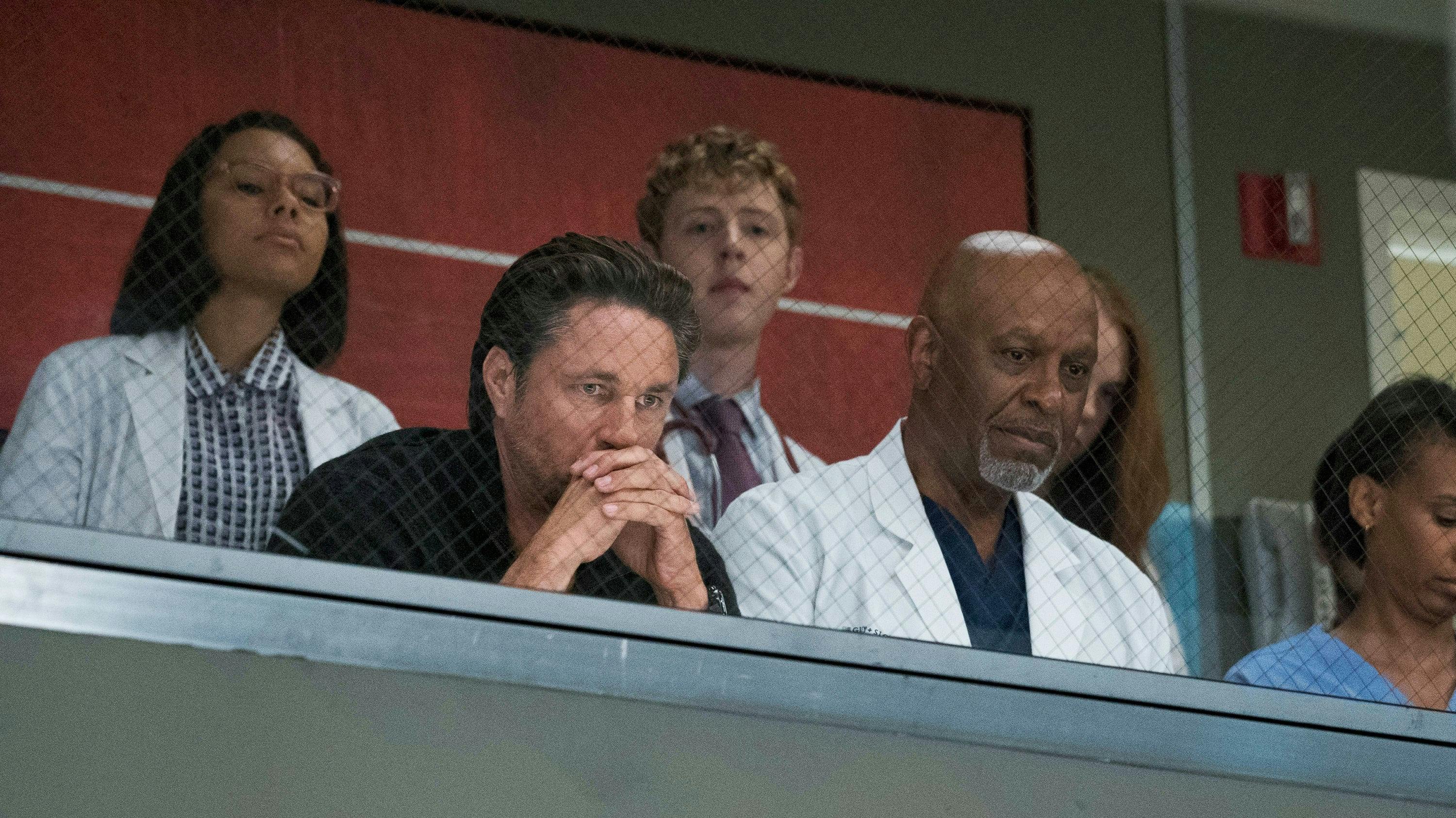 Grey's Anatomy - episódio 14x1