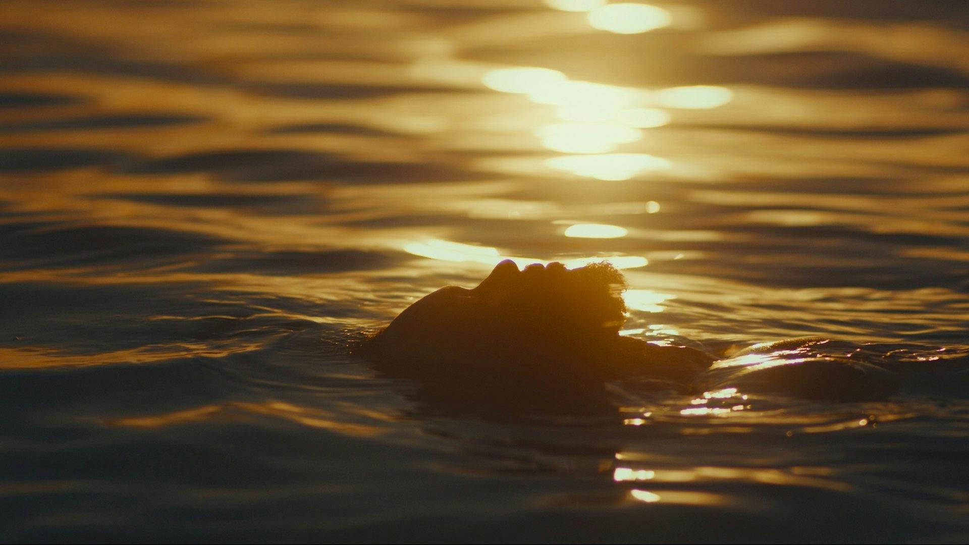 Estranho Caminho backdrop