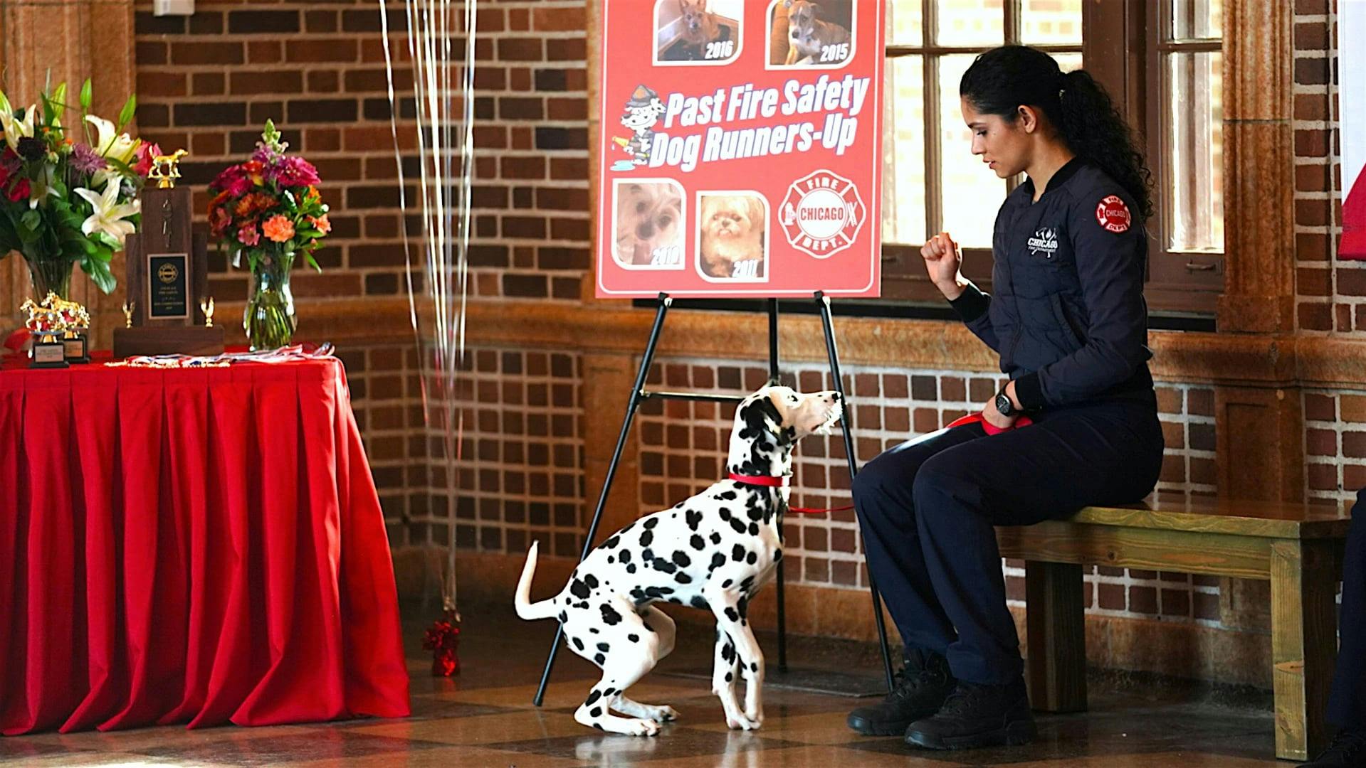Chicago Fire: Heróis Contra o Fogo - episódio 7x11