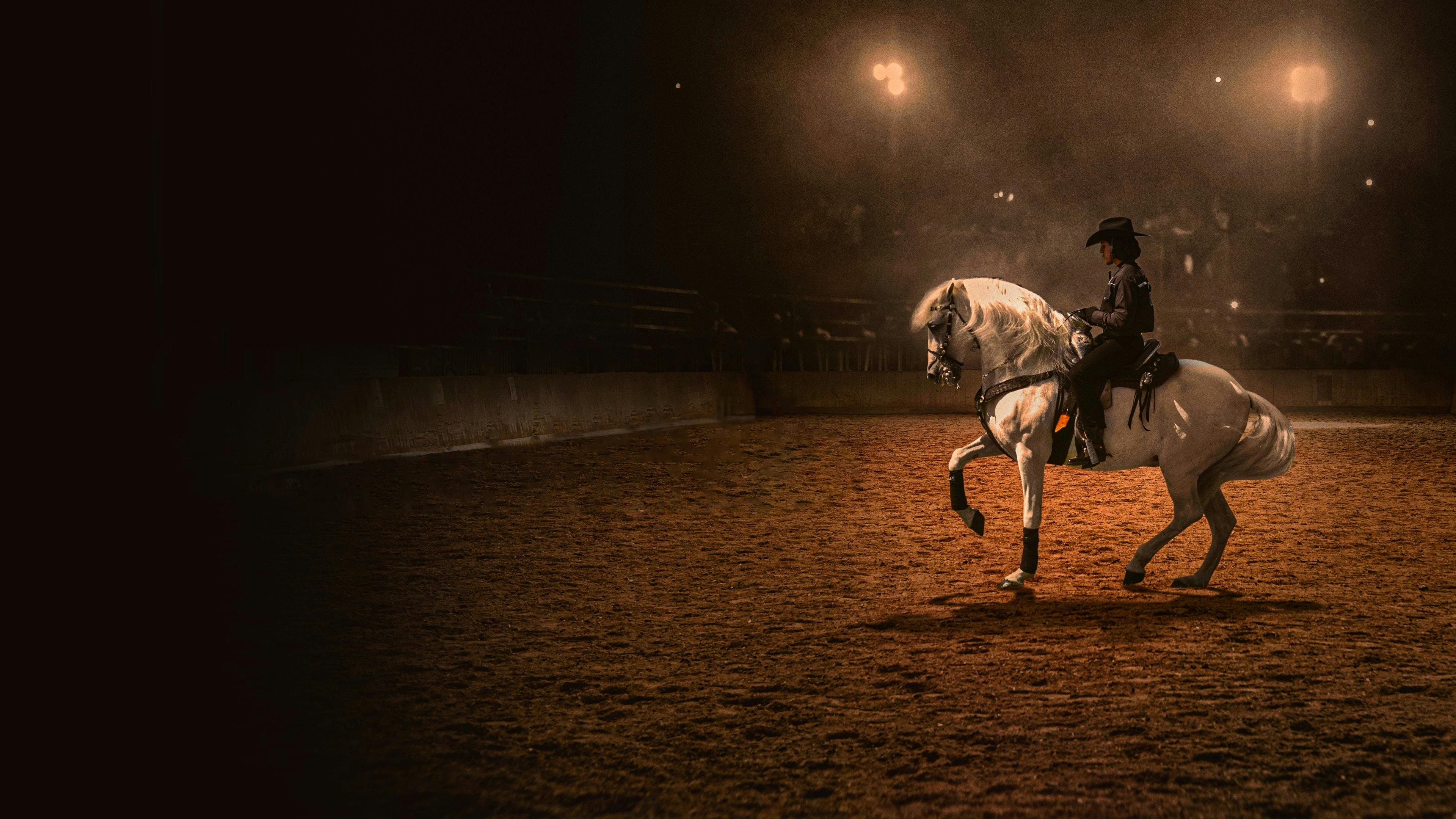 Centurion: O Cavalo Dançante backdrop