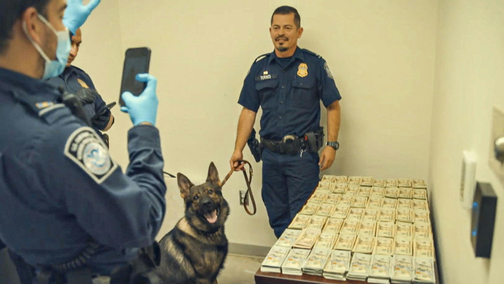 Operação Fronteira: Estados Unidos backdrop