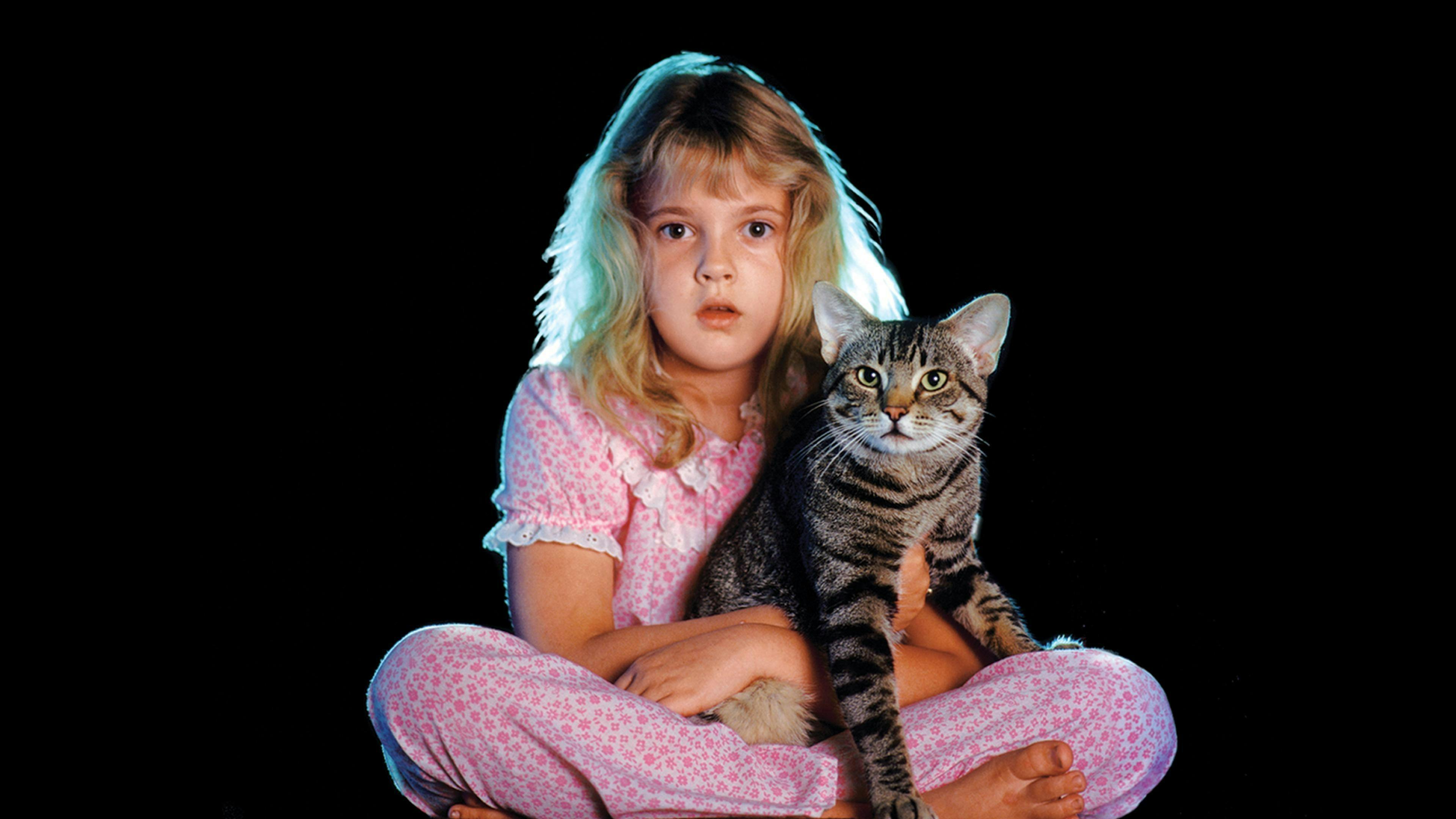 Olhos de Gato backdrop