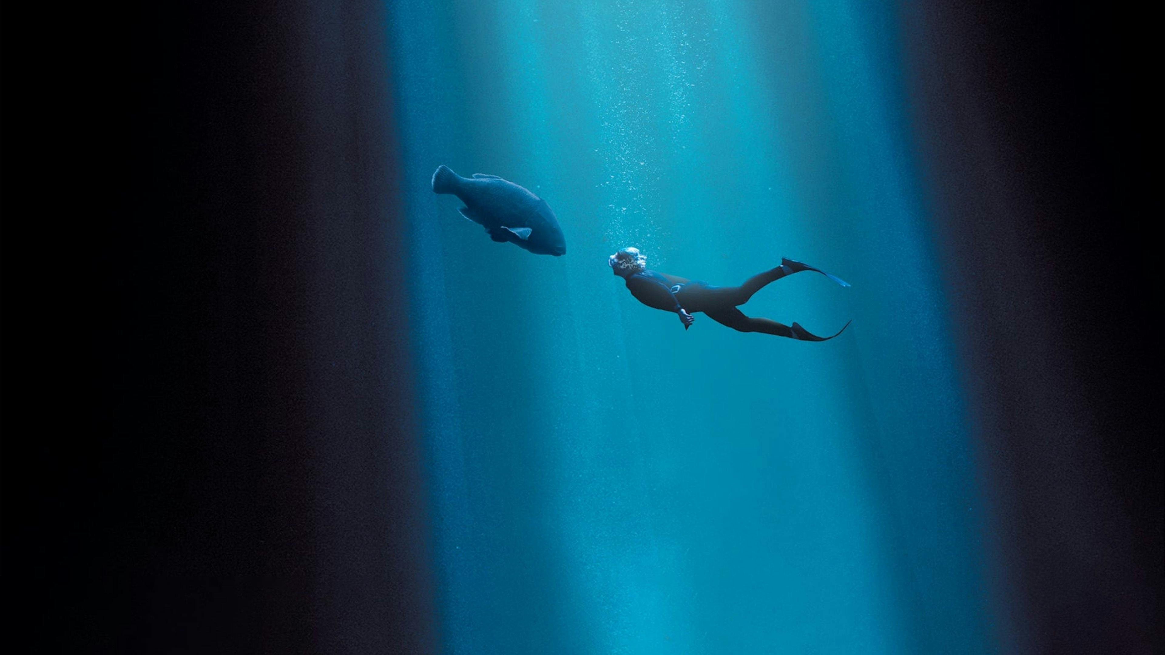 Blueback: Uma Amizade Profunda backdrop