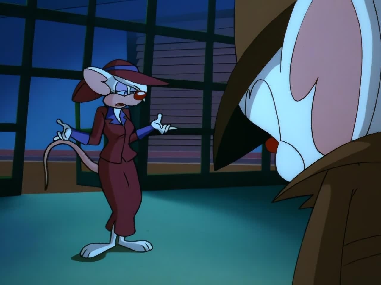 Pinky e o Cérebro