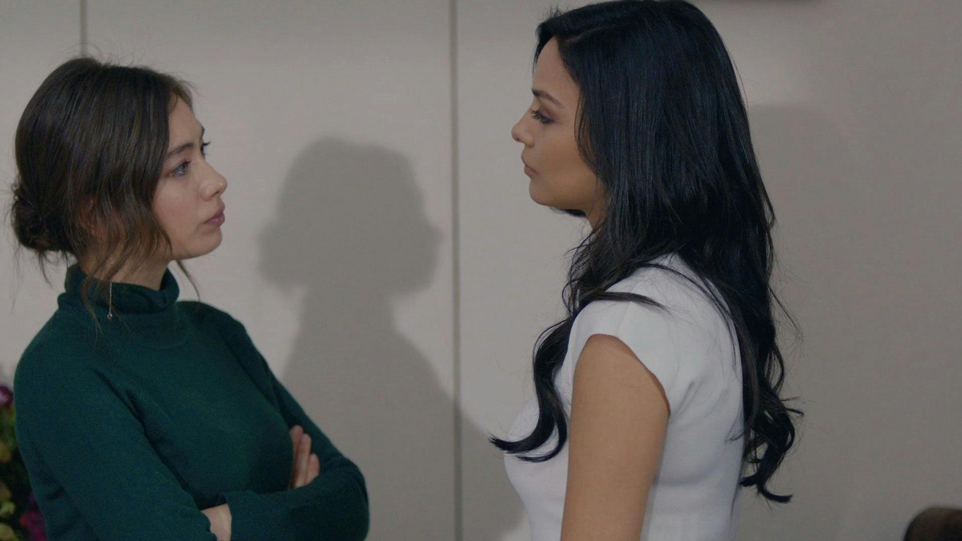 Amor Sem Fim - episódio 1x22