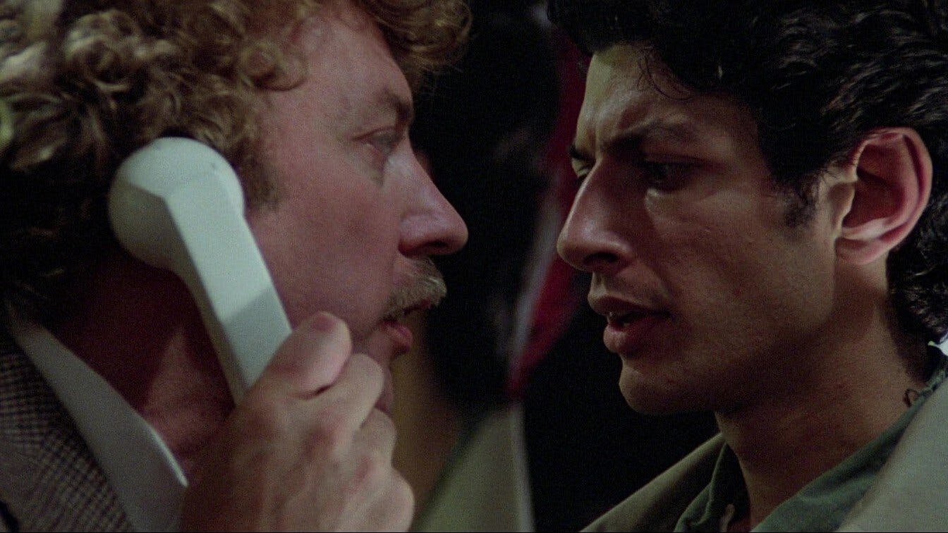 Os Invasores de Corpos backdrop