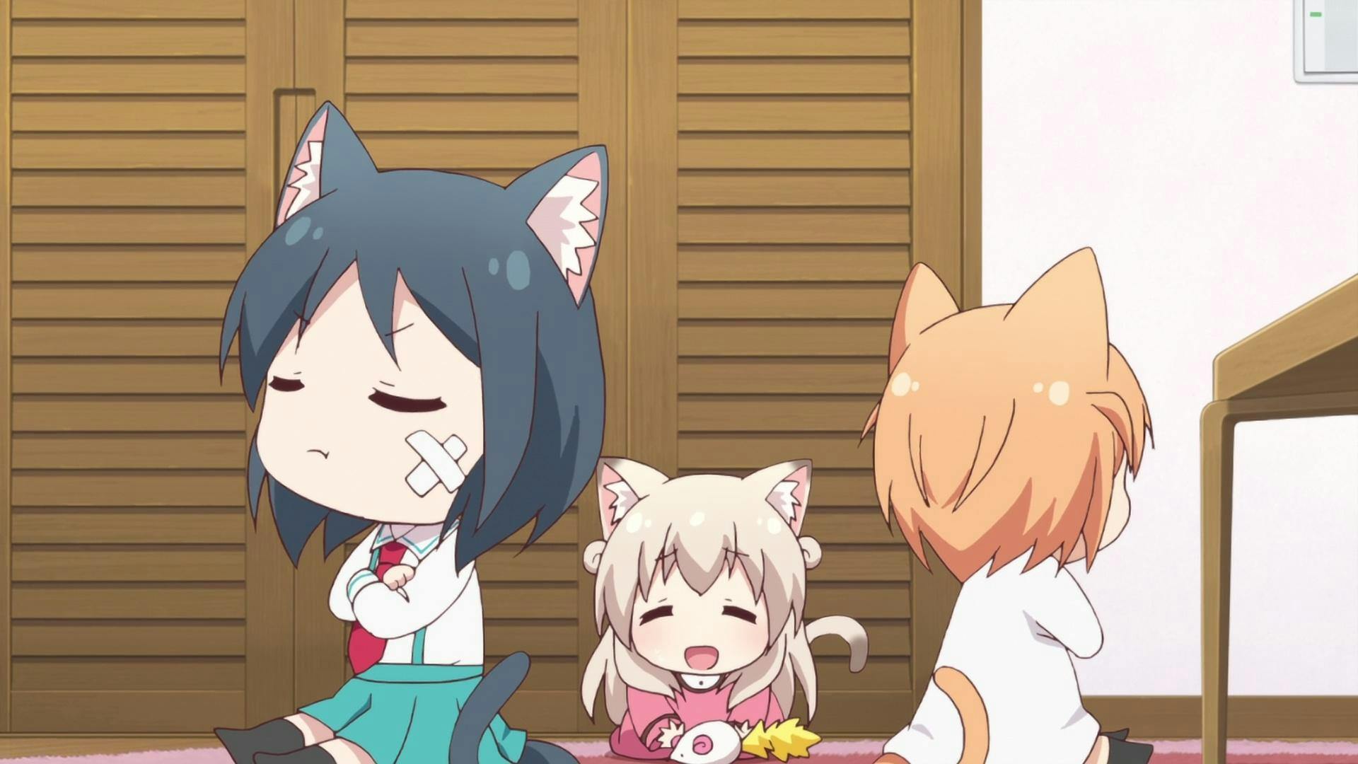 Nyanko Days - episódio 1x8