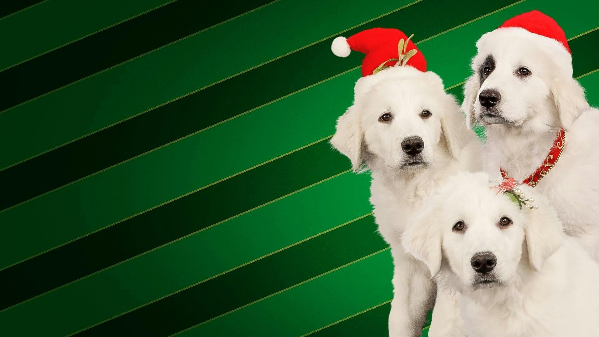 Santa Buddies: Uma Aventura de Natal backdrop