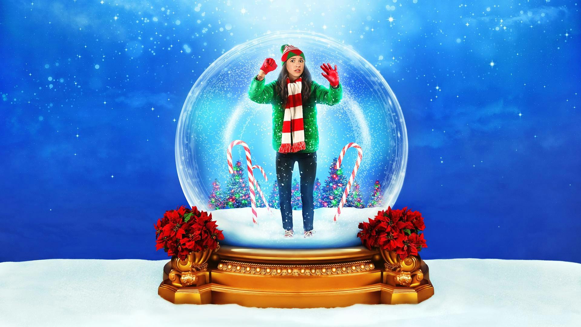 De Novo Natal? backdrop