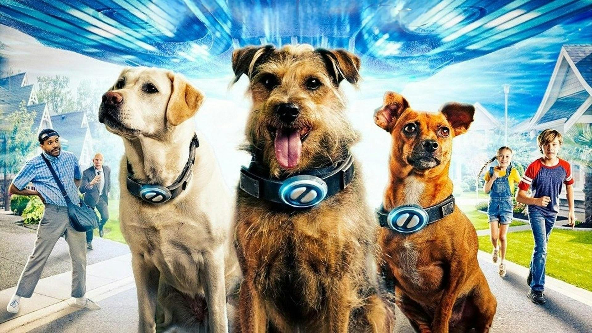 Space Pups backdrop