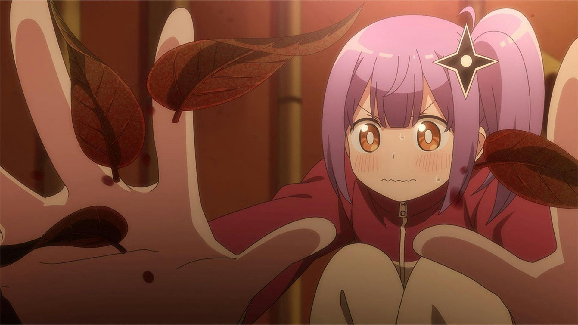 A Ninja and an Assassin Under One Roof - episódio 1x9