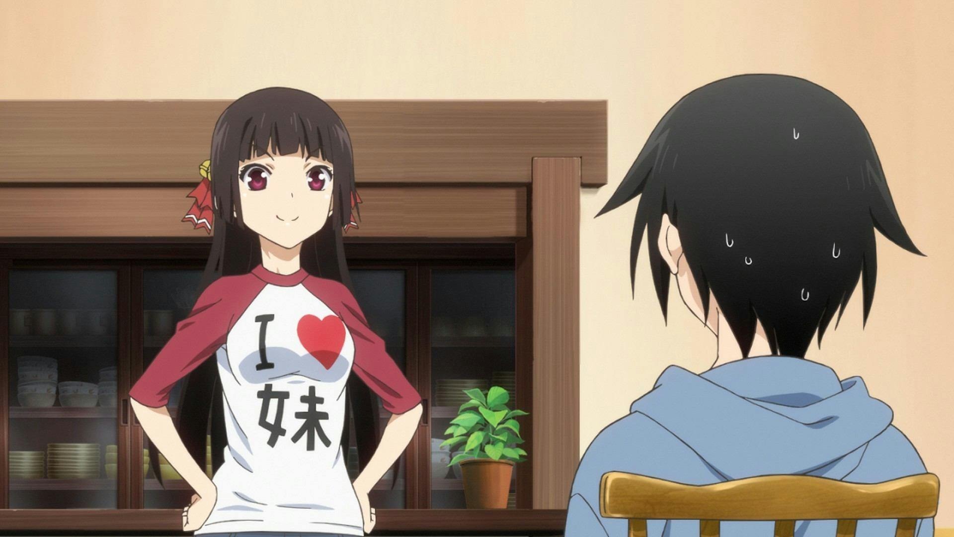 Onii-chan Dakedo Ai sae Areba Kankei nai yo ne - episódio 1x1