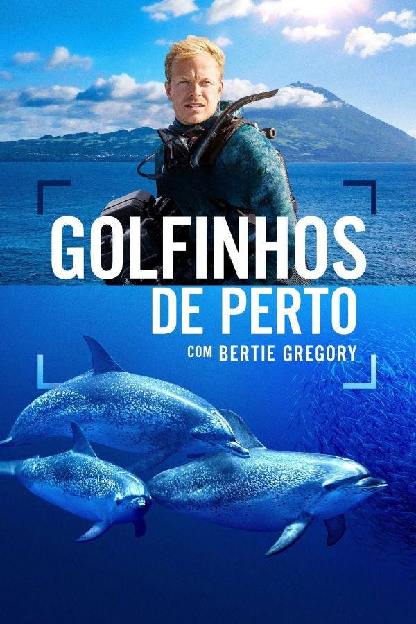 Golfinhos de Perto com Bertie Gregory poster