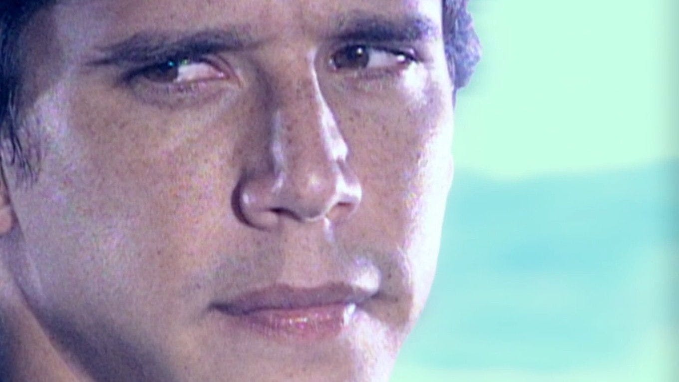 Celebridade - episódio 1x215