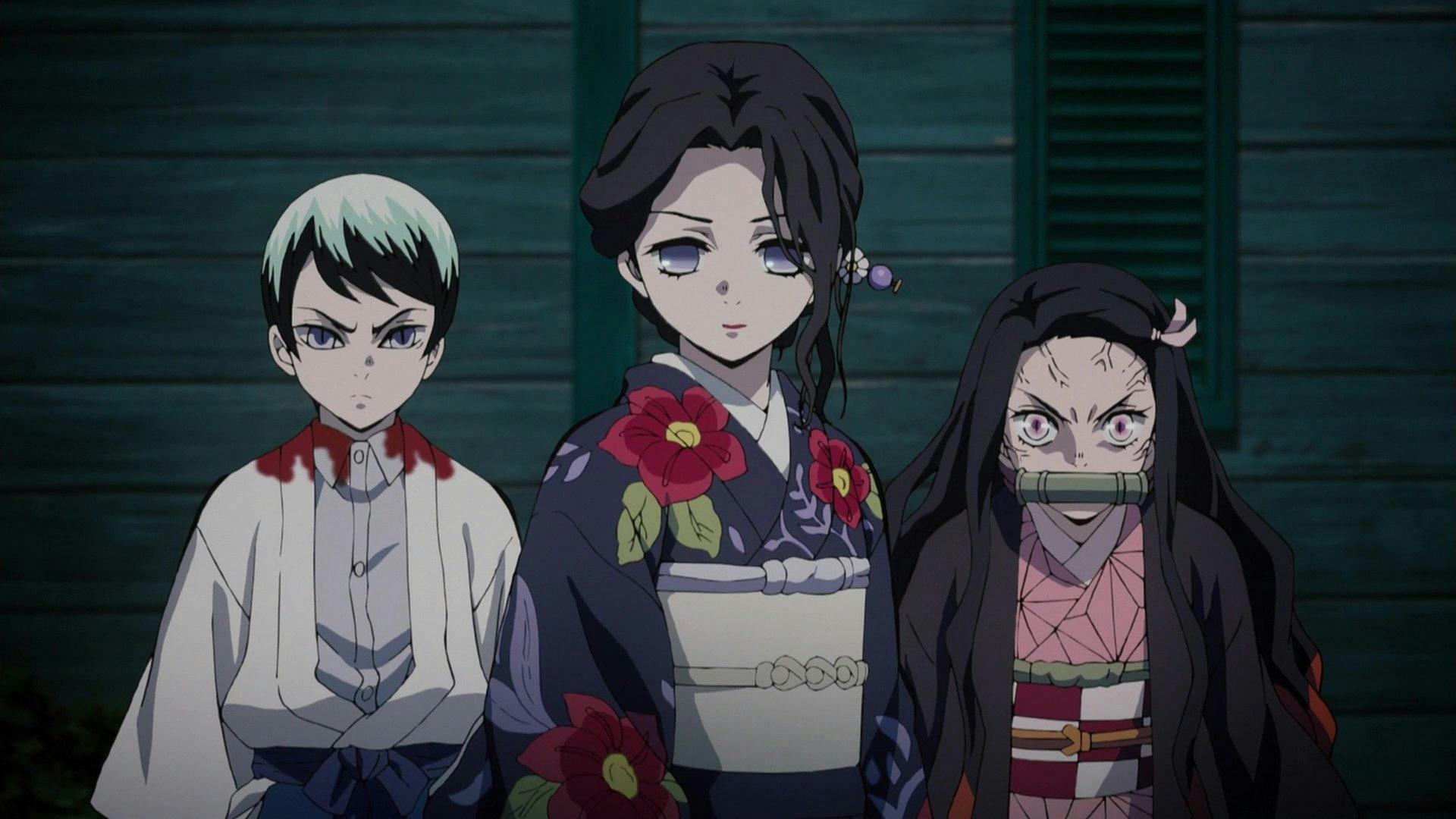 Demon Slayer: Kimetsu no Yaiba - episódio 1x10