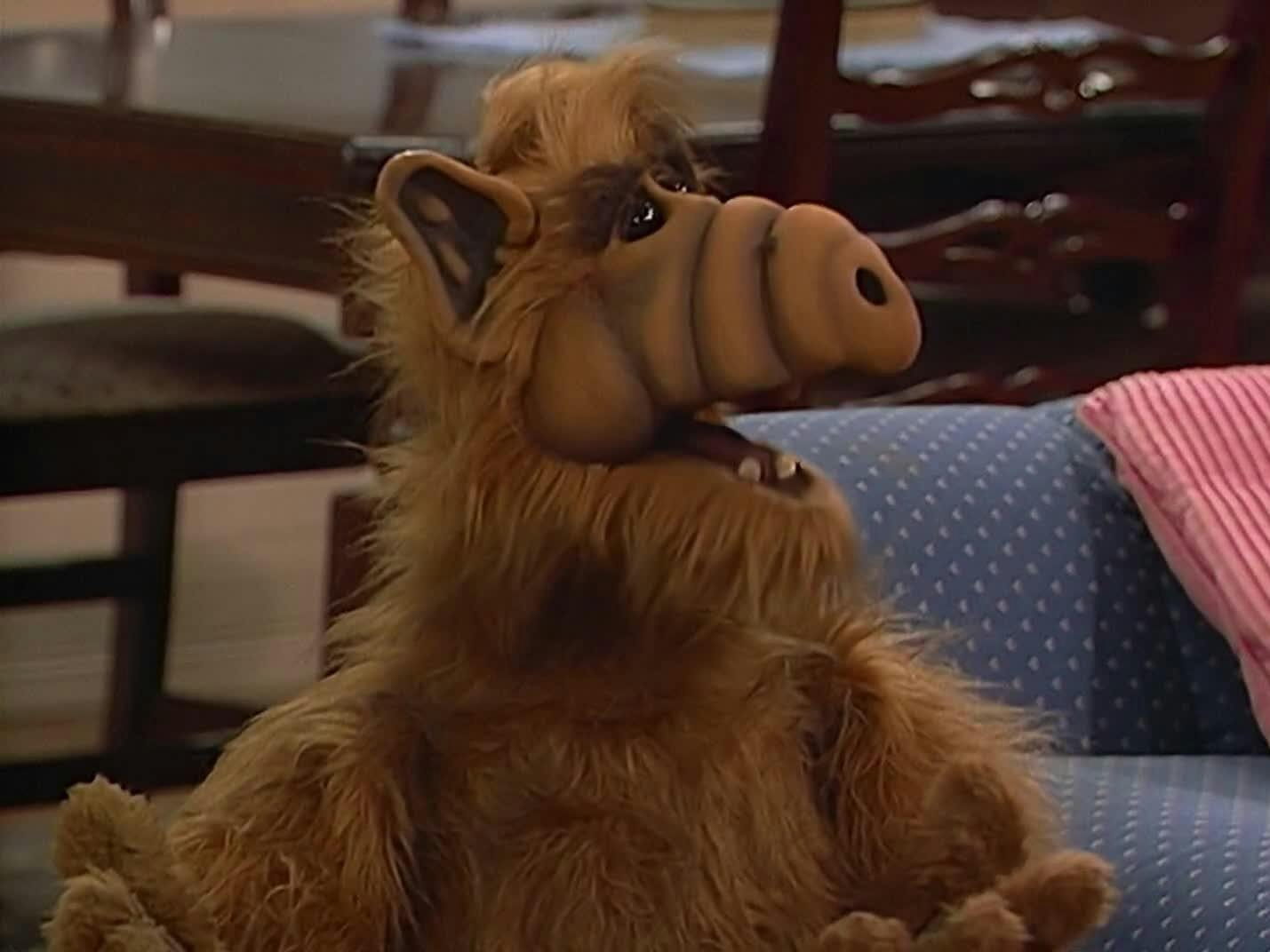 ALF, o ETeimoso - episódio 1x16