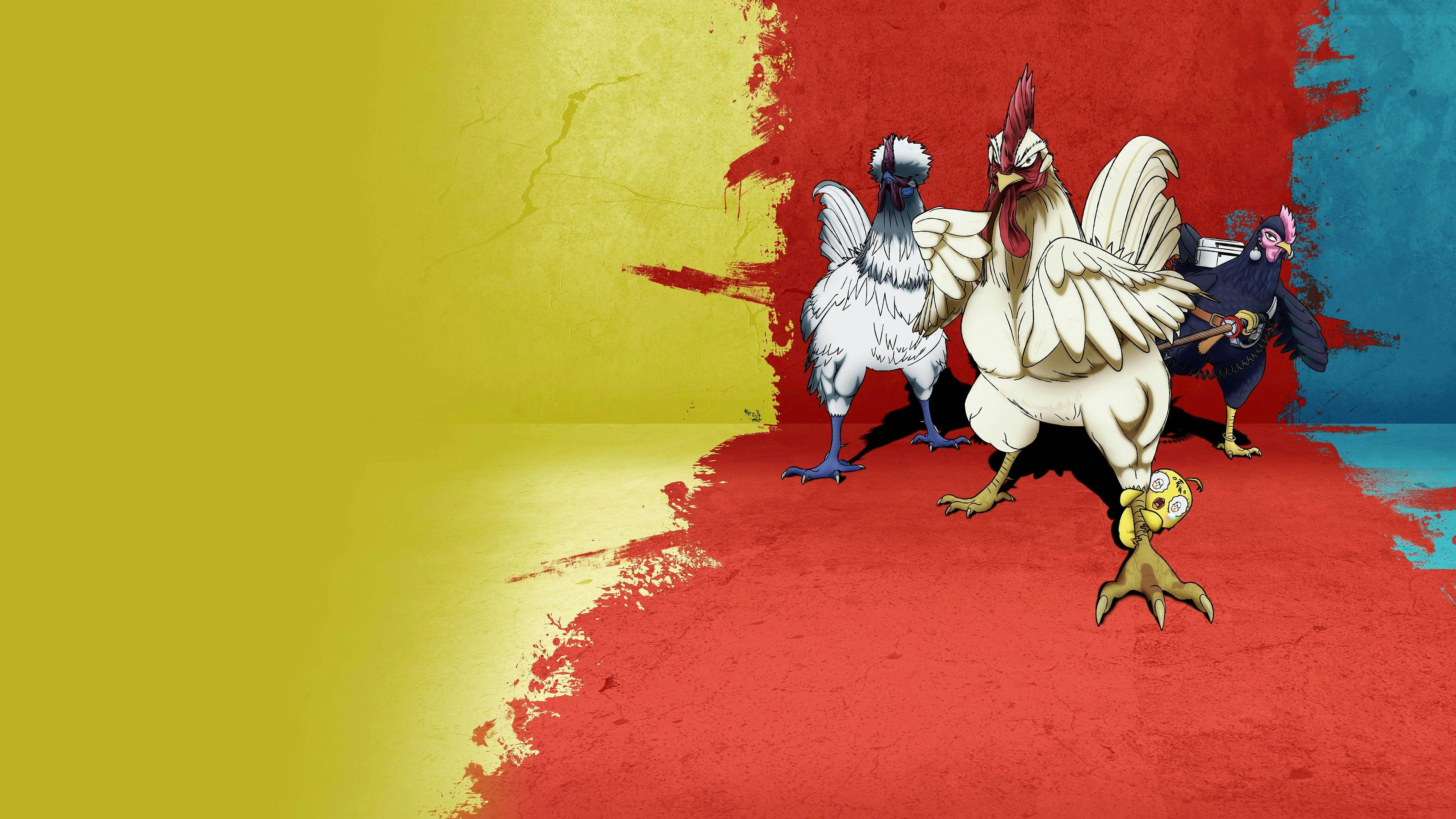 Rooster Fighter backdrop