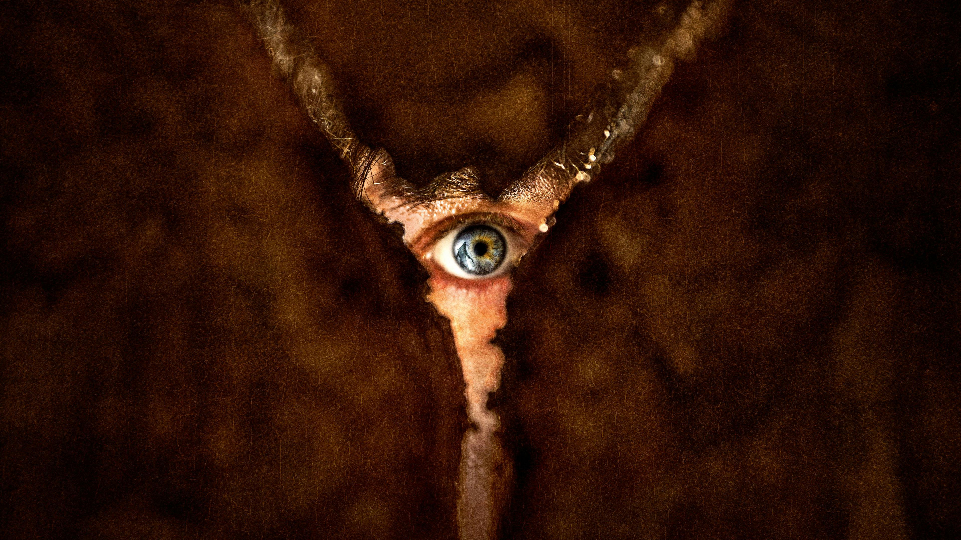 Terror em Silent Hill: Regresso Para o Inferno backdrop