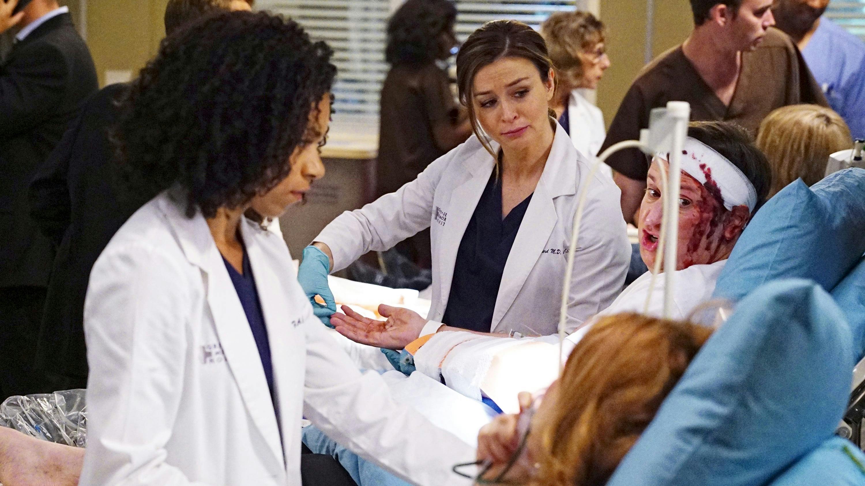 Grey's Anatomy - episódio 13x3