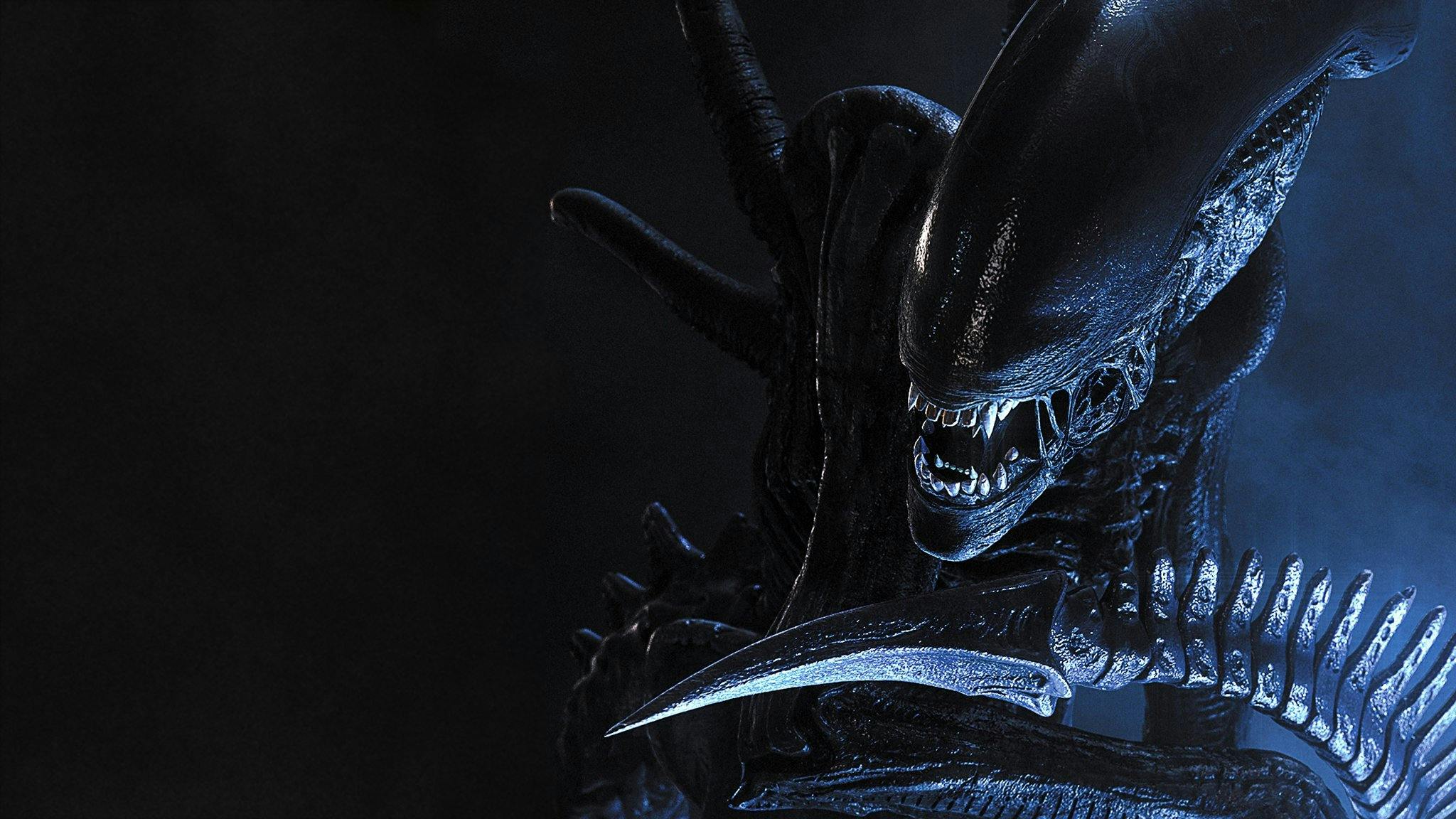 Alien vs. Predador backdrop