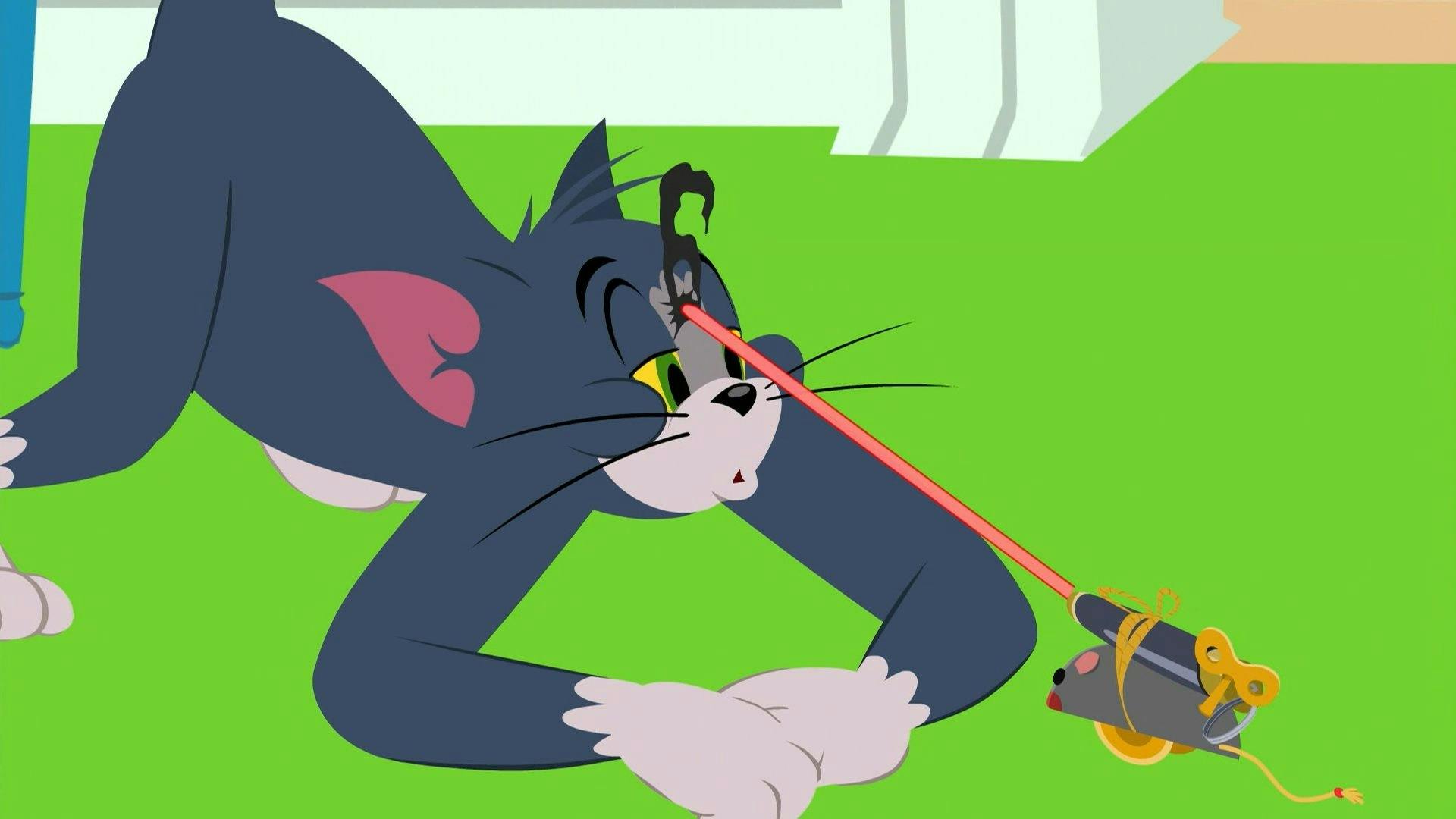 O Show de Tom e Jerry