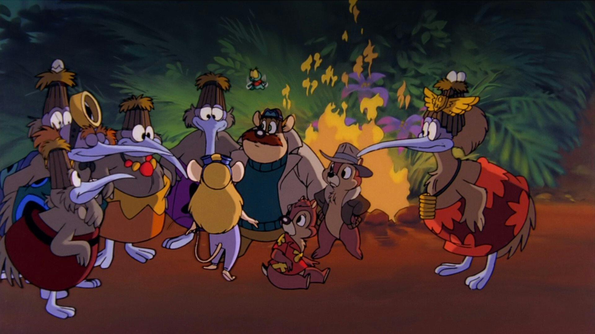A Grande Aventura do Kiwi