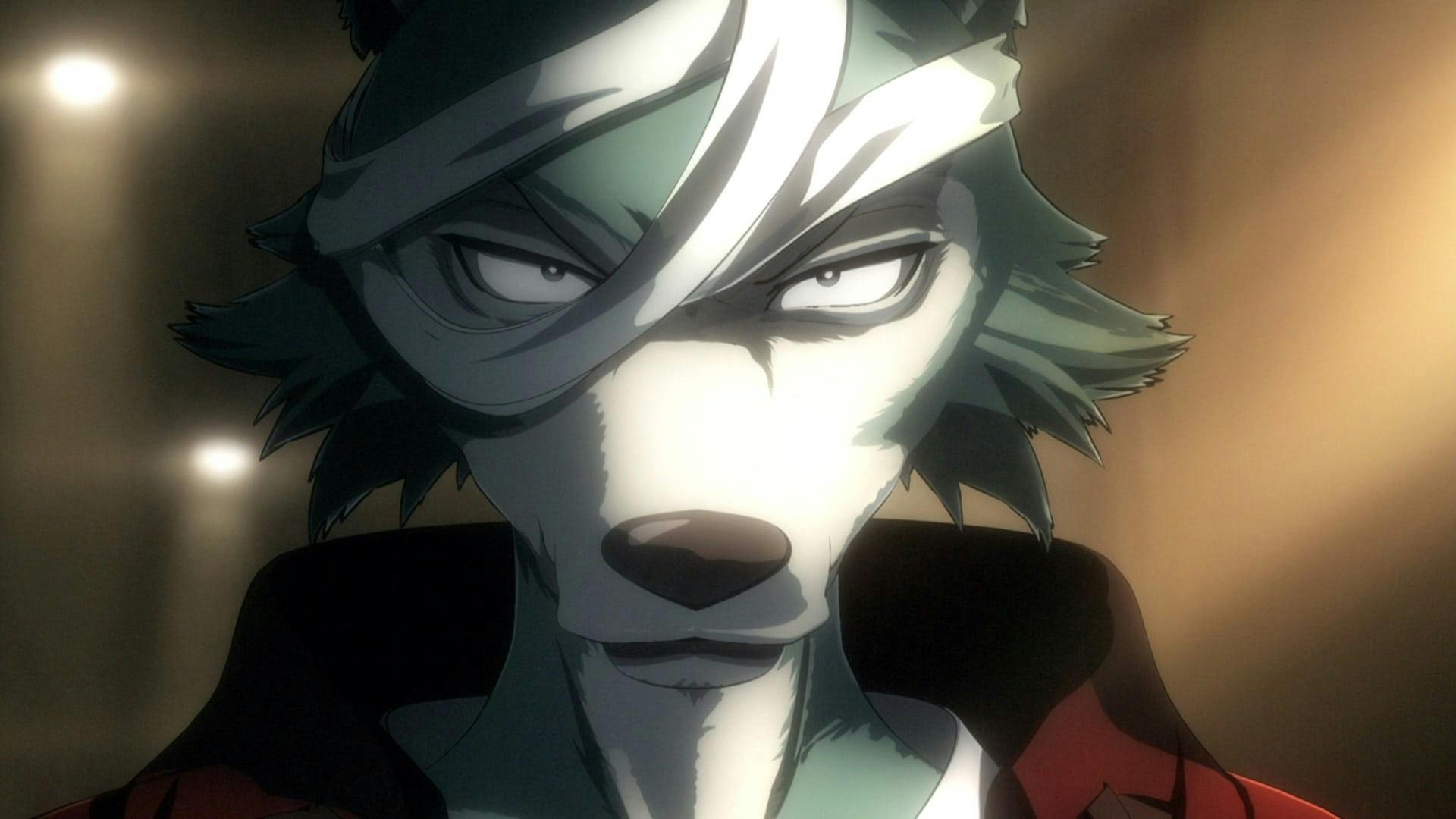 BEASTARS - O Lobo Bom - episódio 1x4