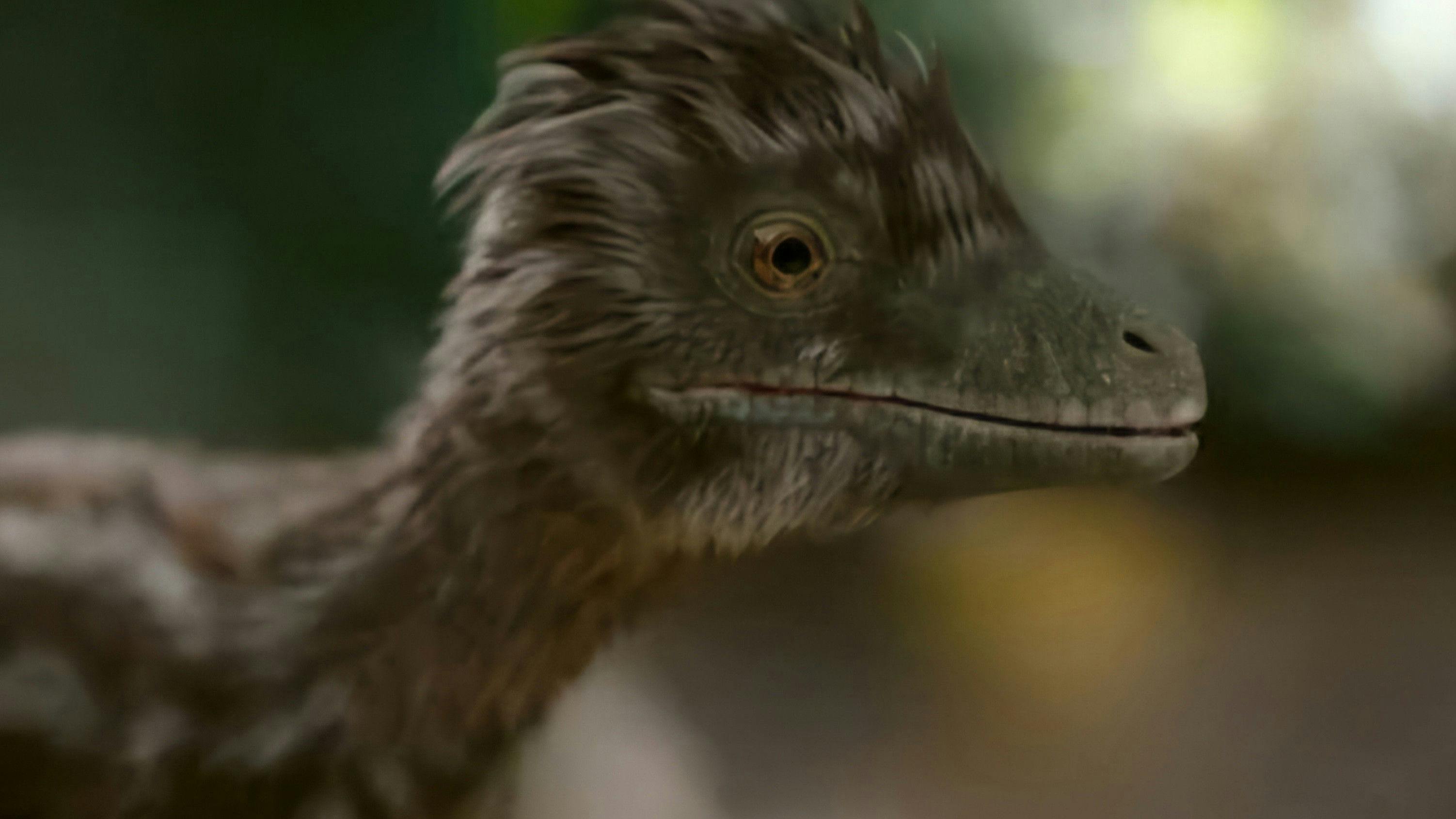 Os Dinossauros backdrop