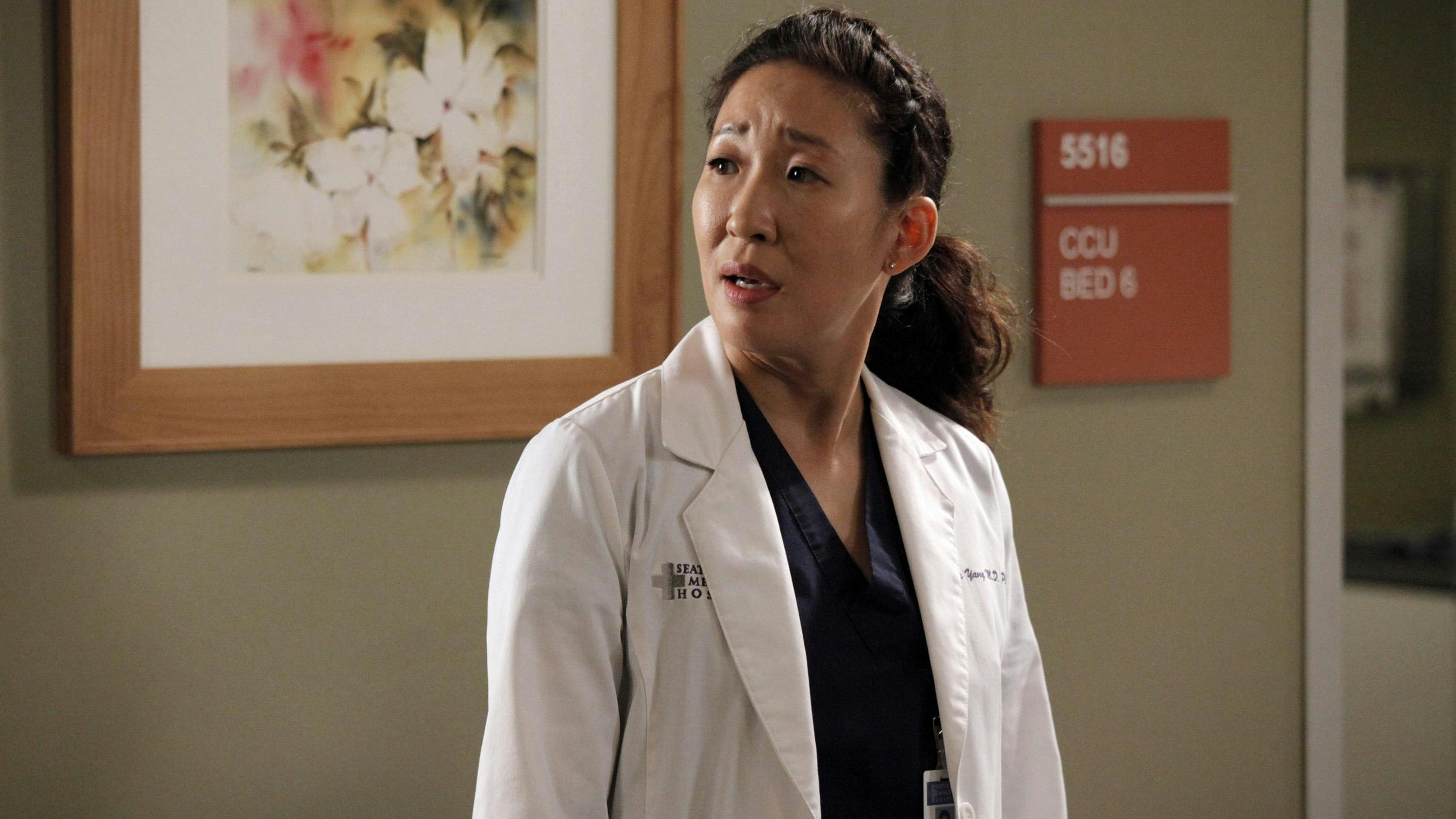 Grey's Anatomy - episódio 9x7