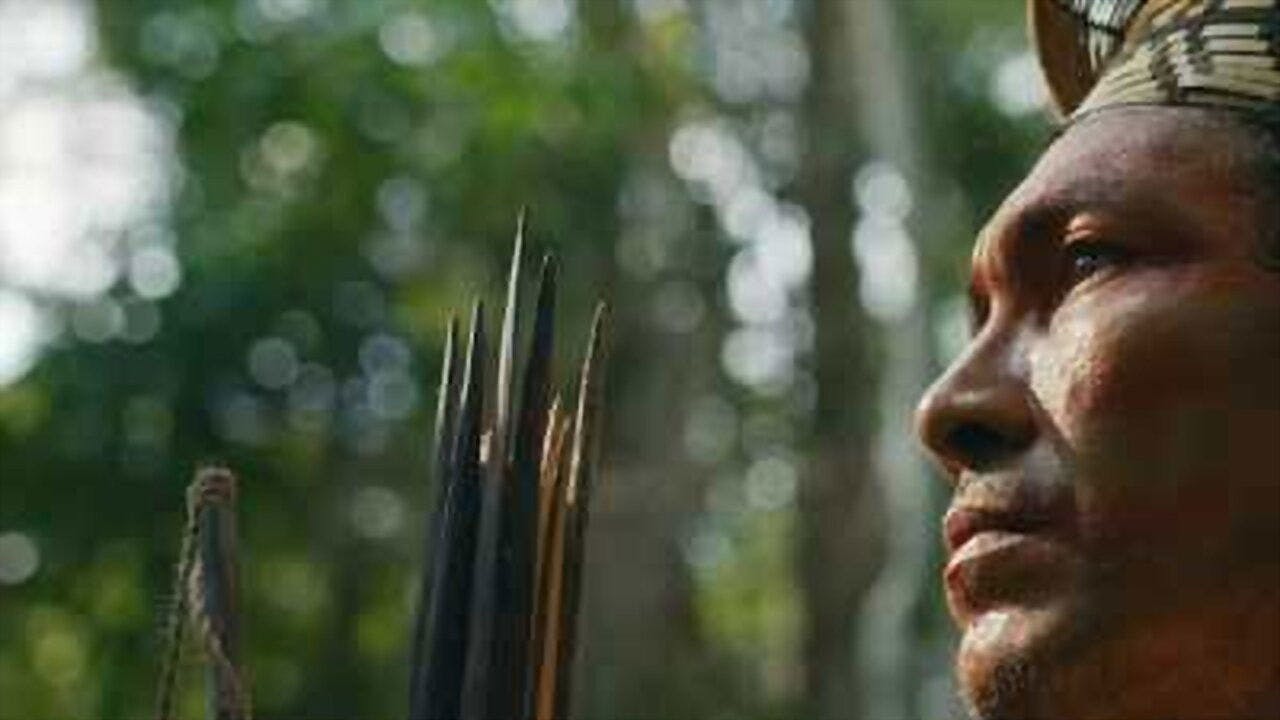 Biocêntricos backdrop