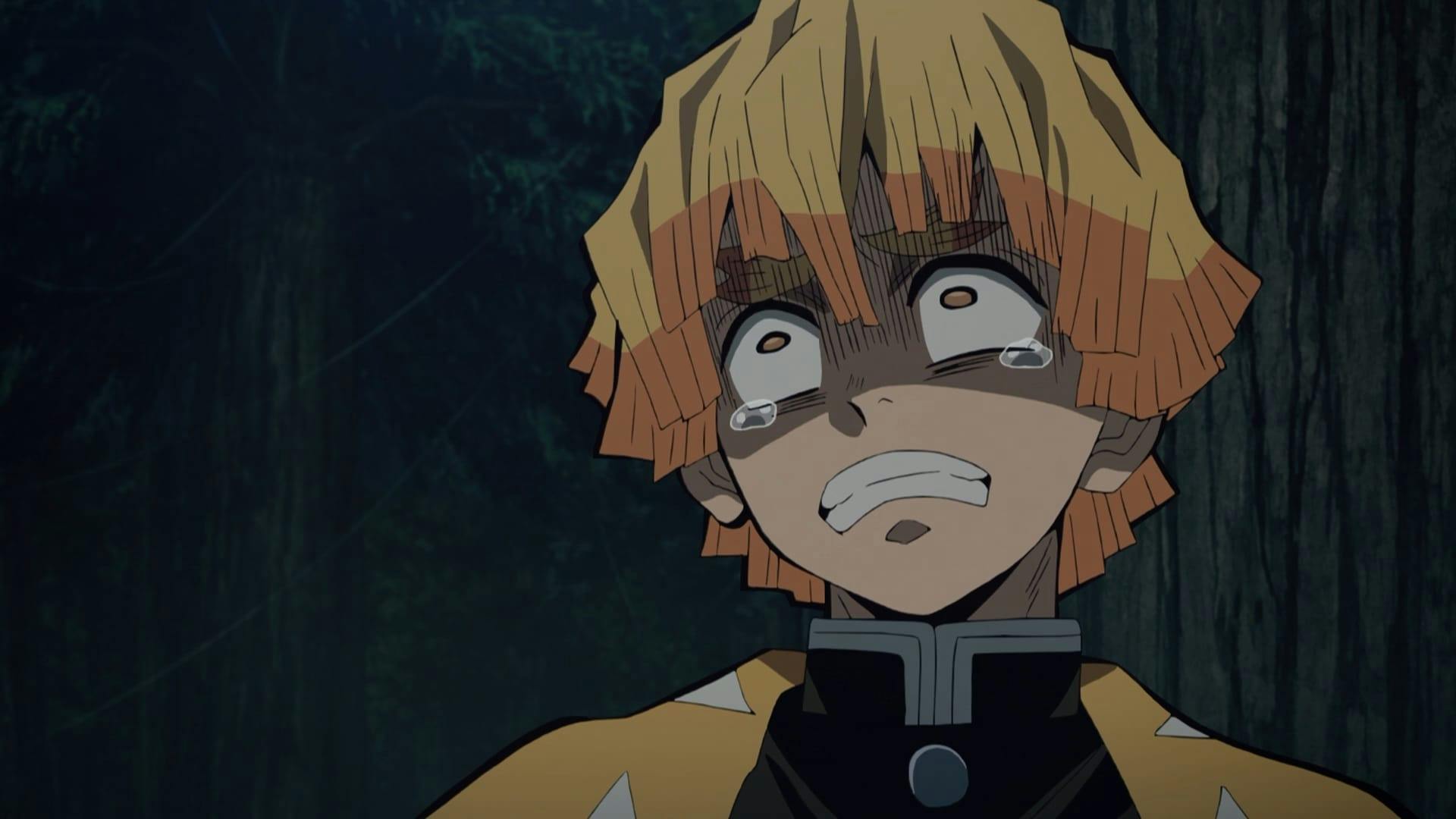Demon Slayer: Kimetsu no Yaiba - episódio 1x17