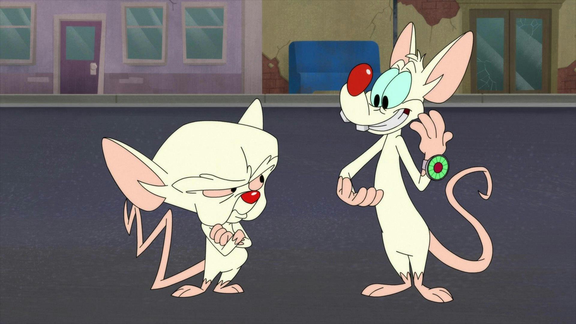 Animaniacs