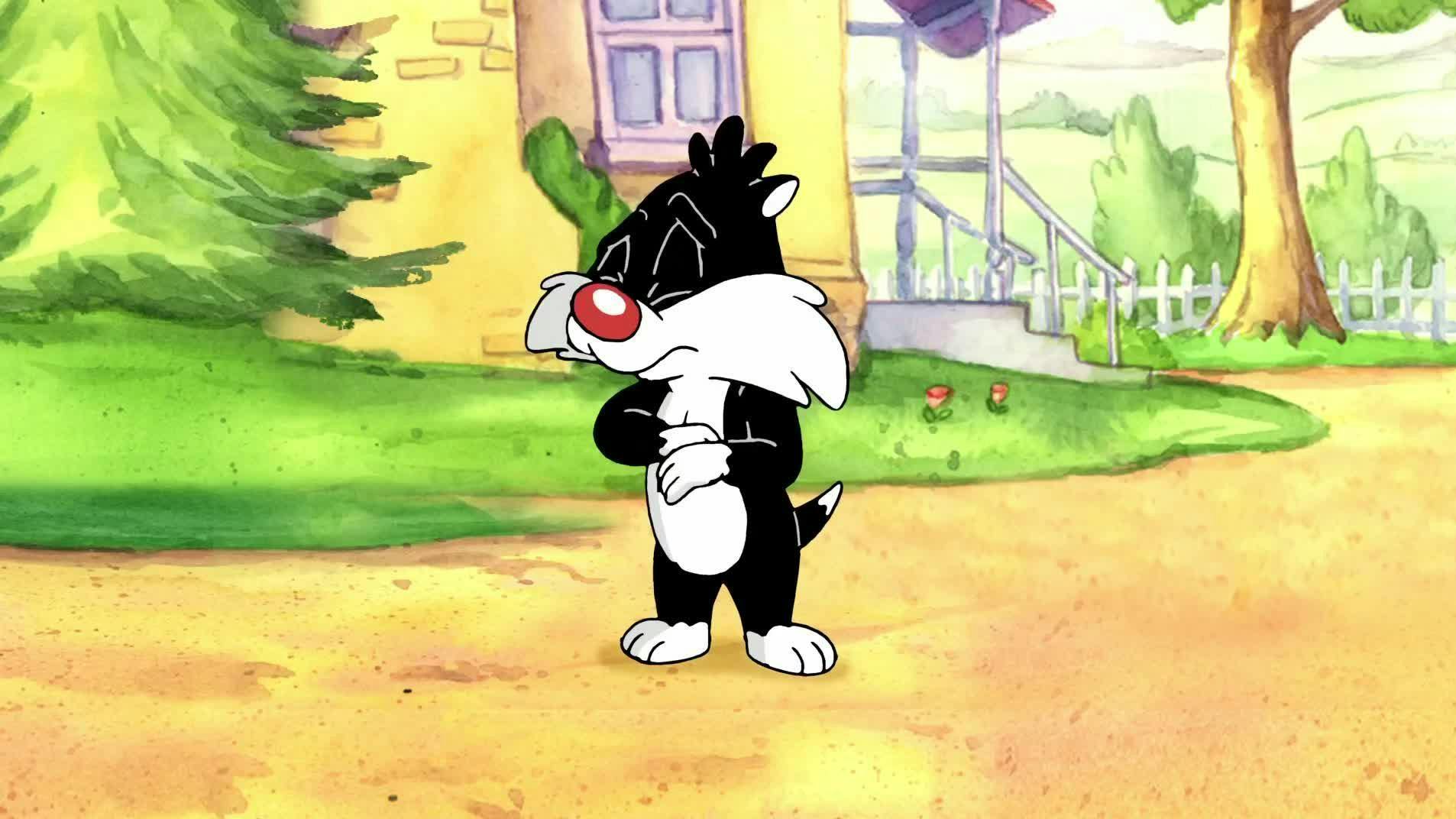 Baby Looney Tunes - episódio 1x60