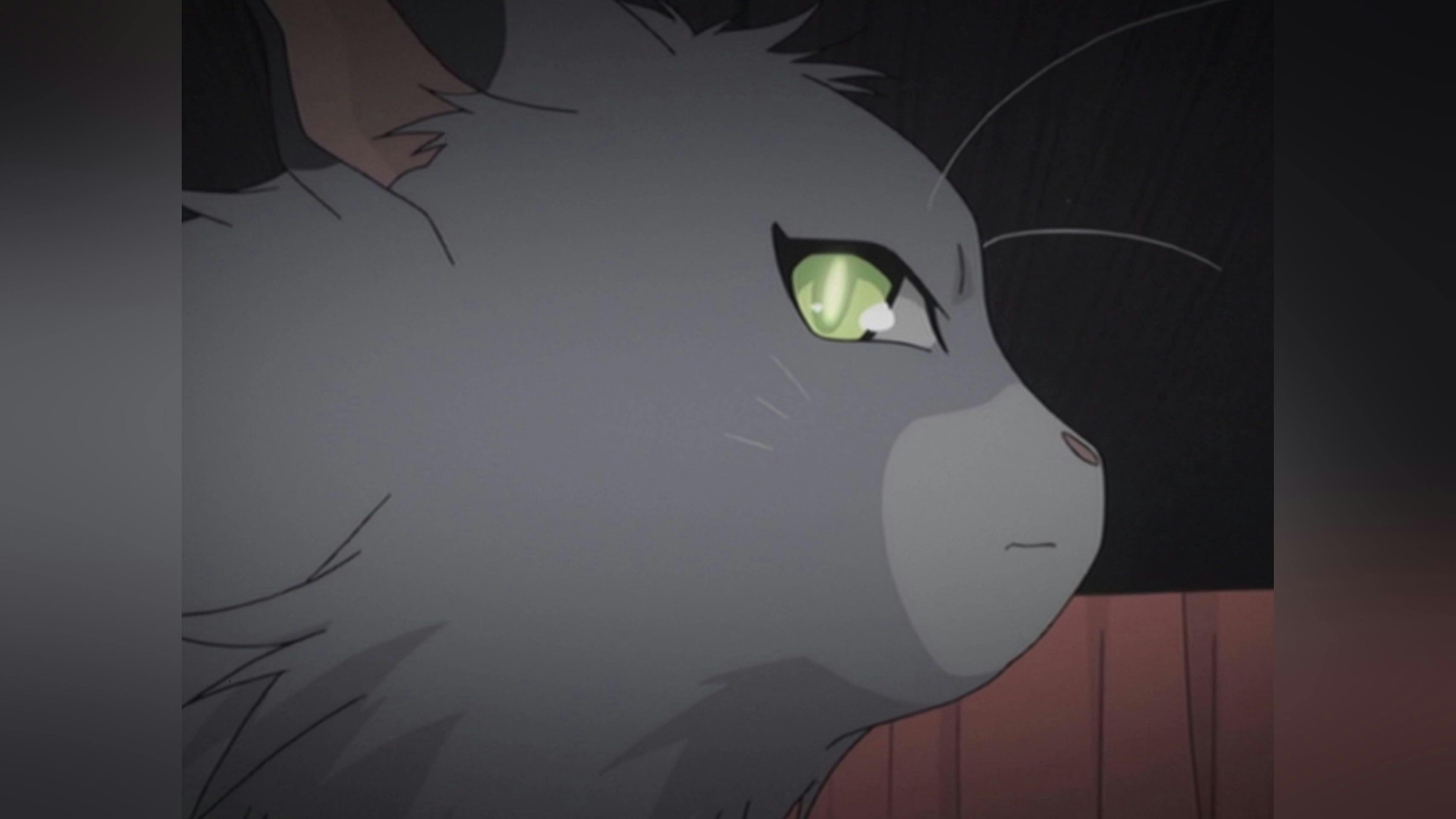 Hakushaku to Yousei - episódio 1x9