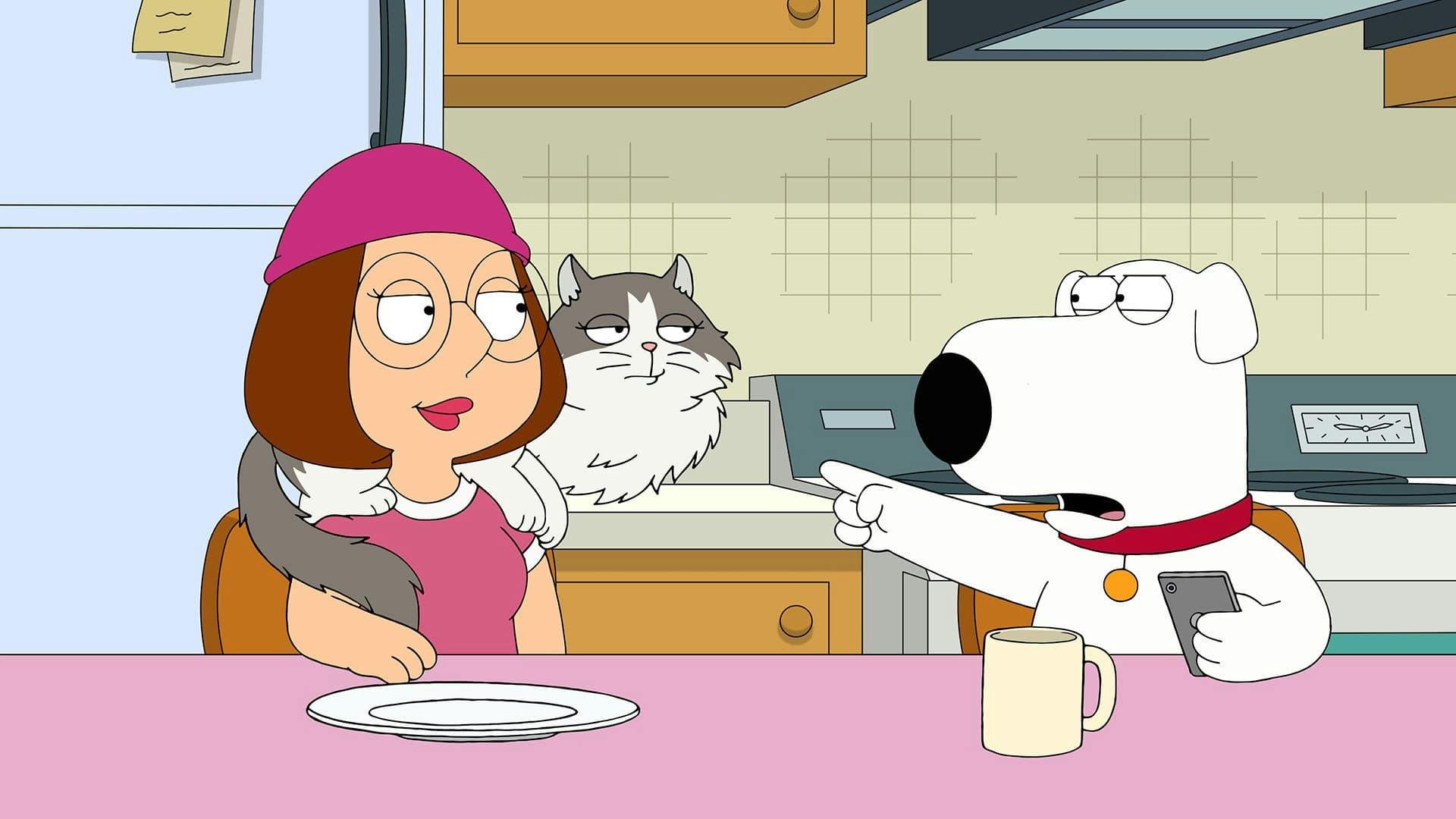 O Gato da Família