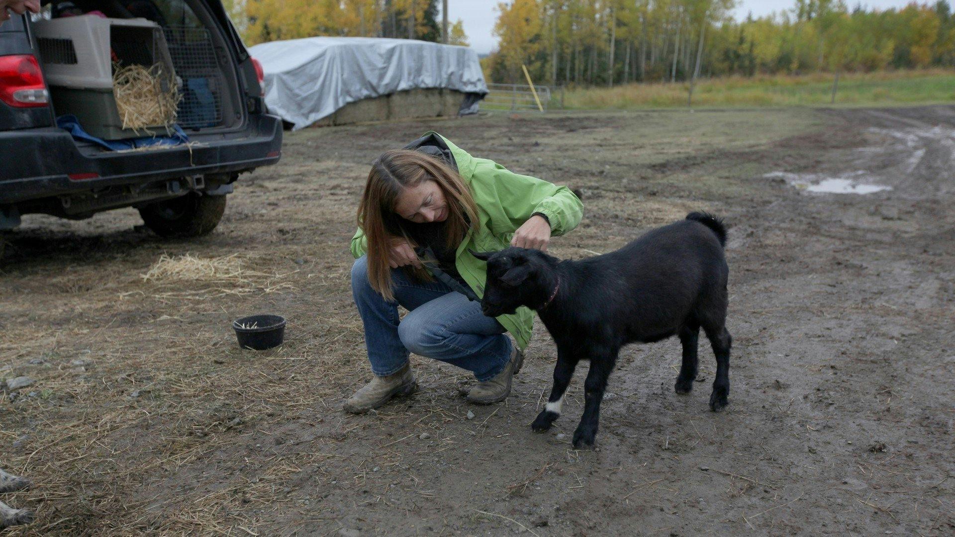 Yukon: Plantão Veterinário - episódio 1x1