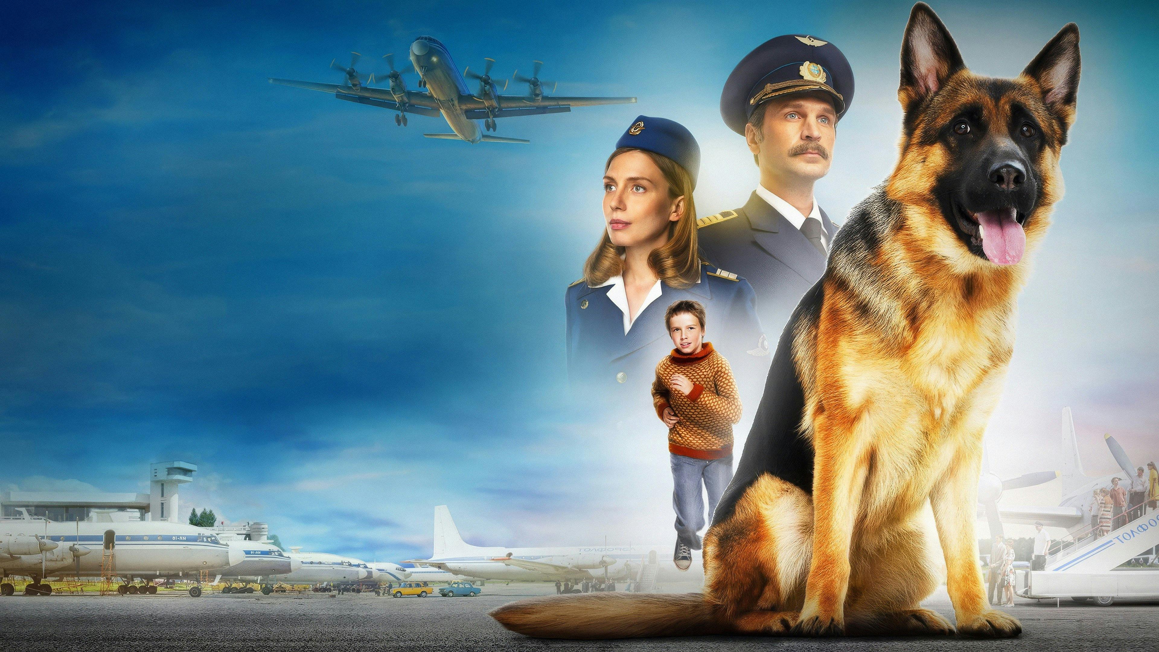 Minha Amiga Palma backdrop