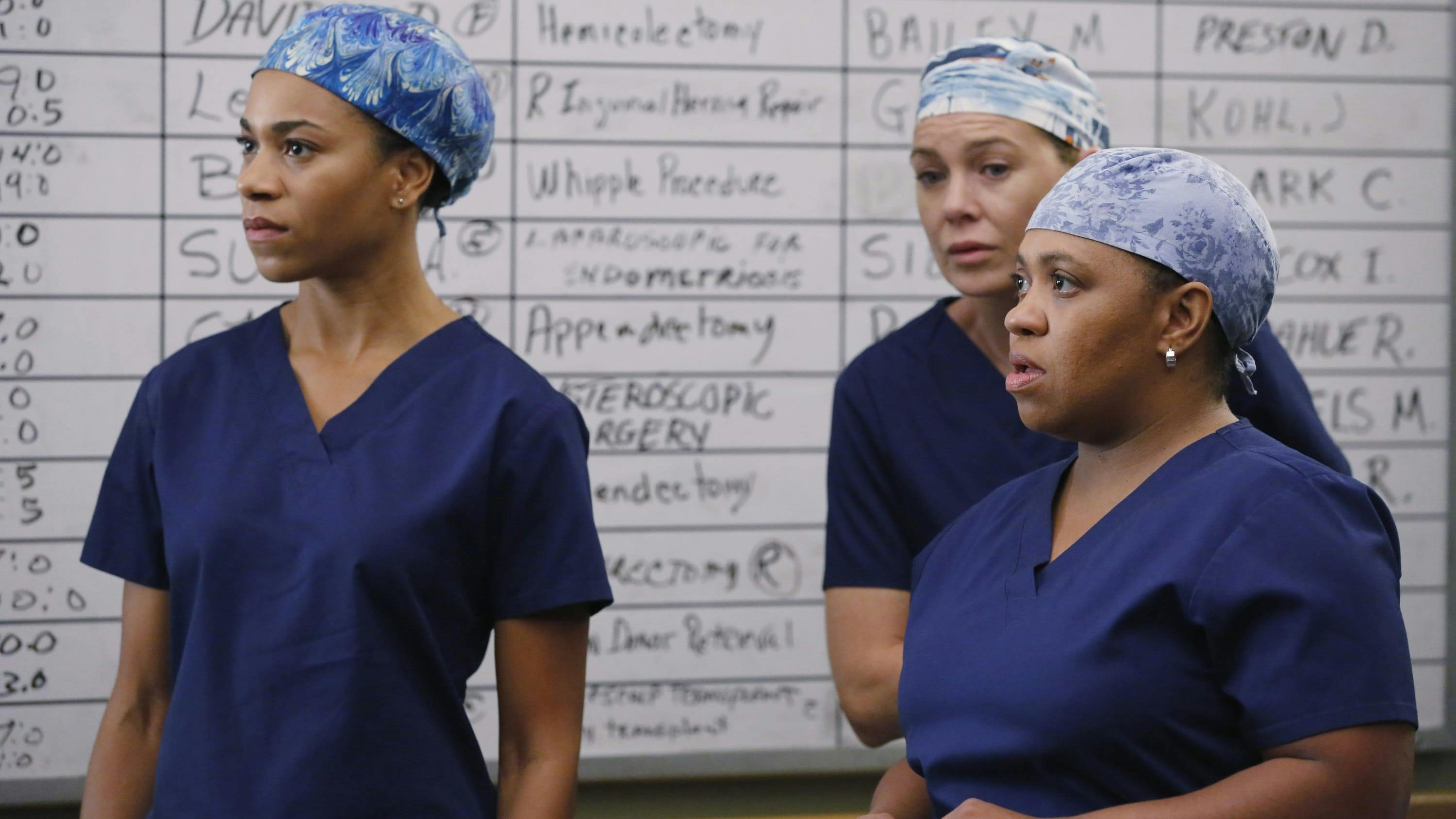 Grey's Anatomy - episódio 12x7