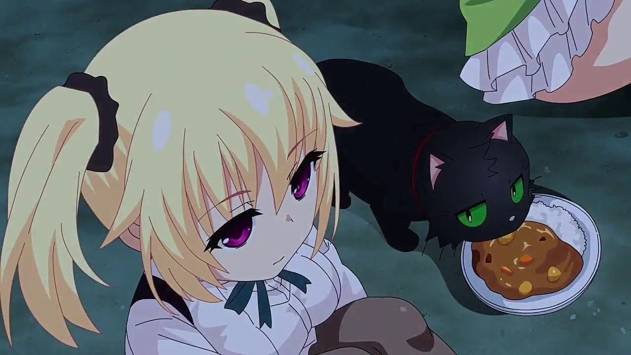 Nora to Oujo to Noraneko Heart