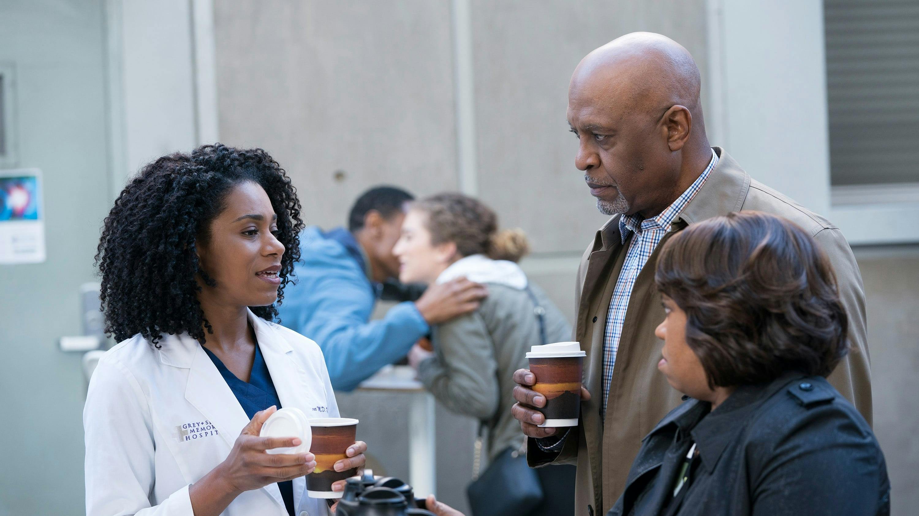 Grey's Anatomy - episódio 14x15