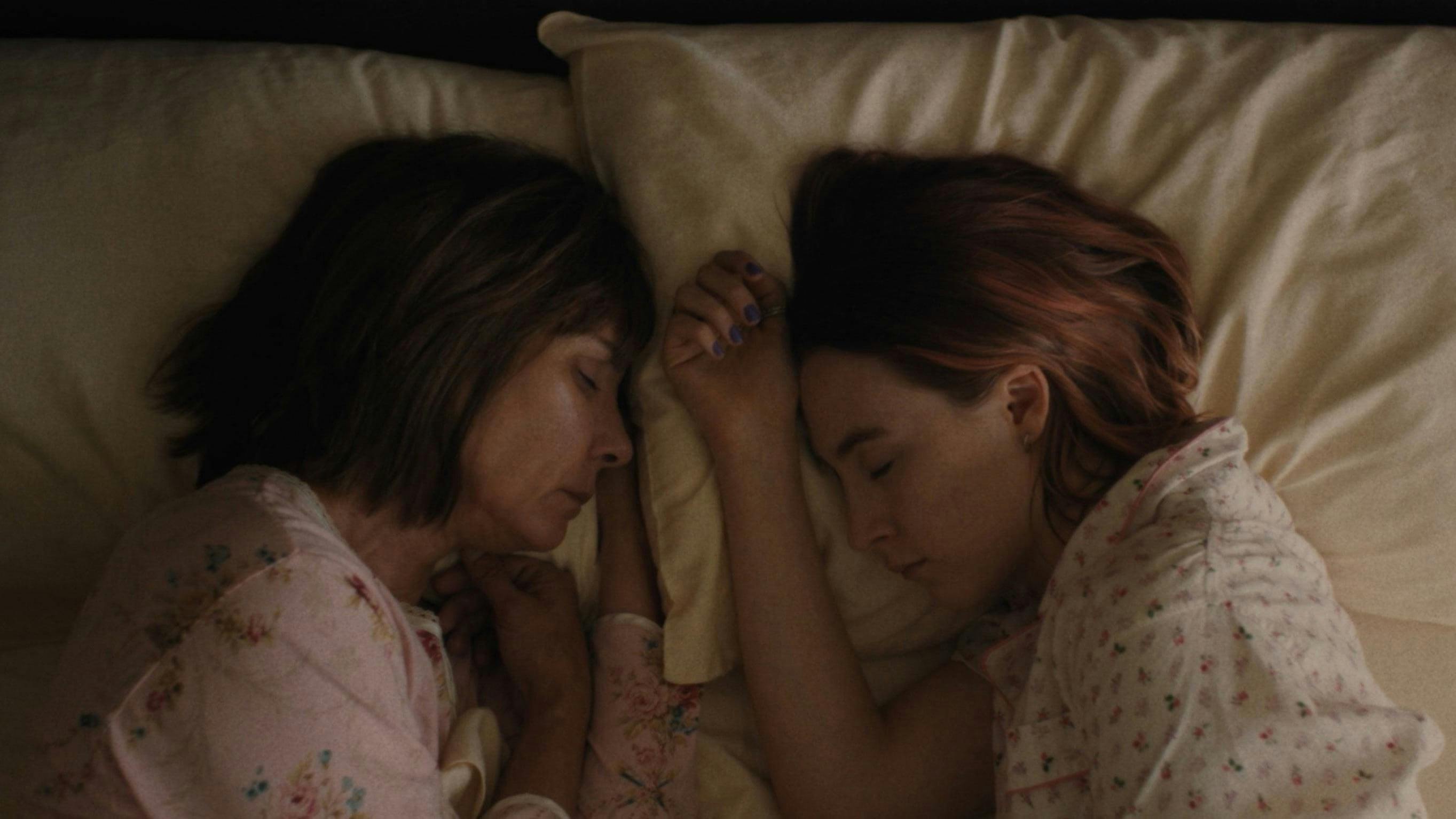 Lady Bird - A Hora de Voar backdrop