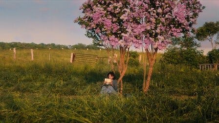 First Love - episódio 1x9