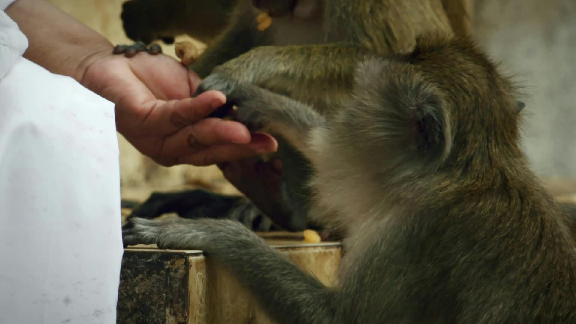 Tailândia: O Paraíso Tropical da Terra - episódio 1x1