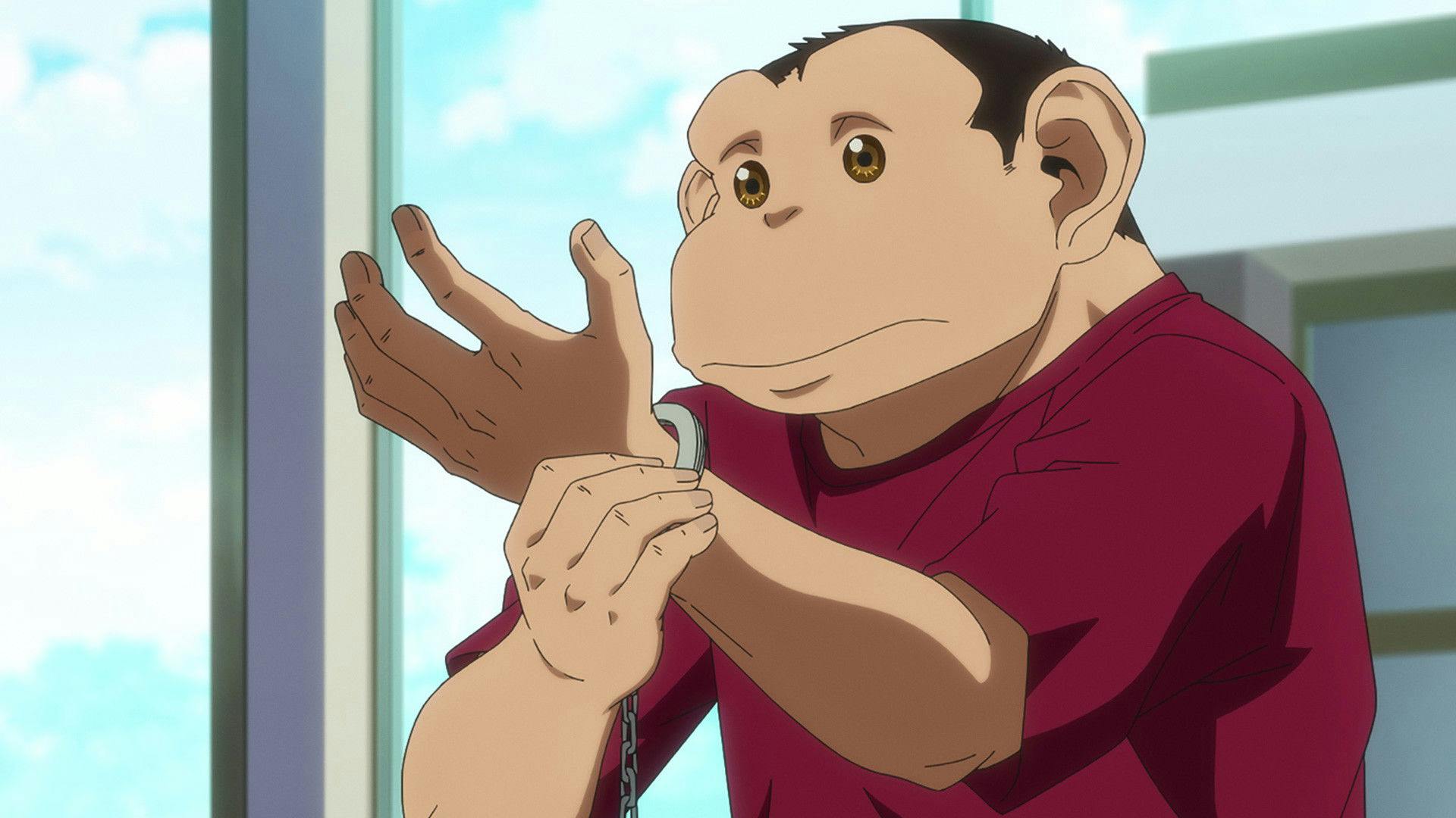 O Incidente de Darwin backdrop