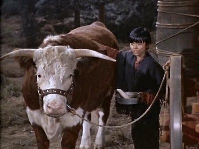 Bonanza - episódio 1x16