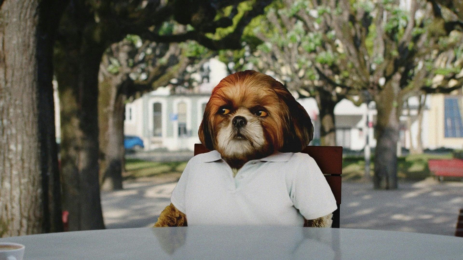 O Filme do Bruno Aleixo backdrop