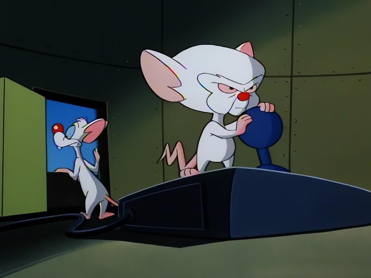 Pinky e o Cérebro