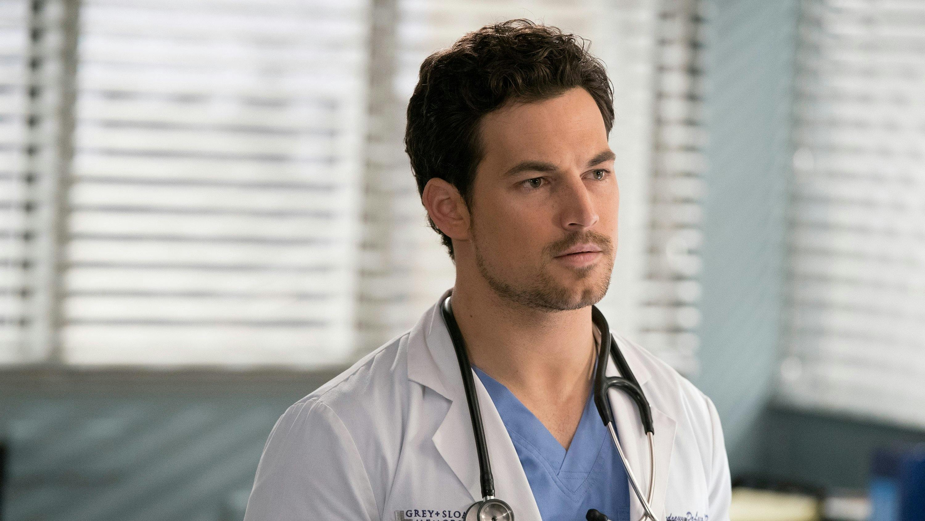 Grey's Anatomy - episódio 15x17