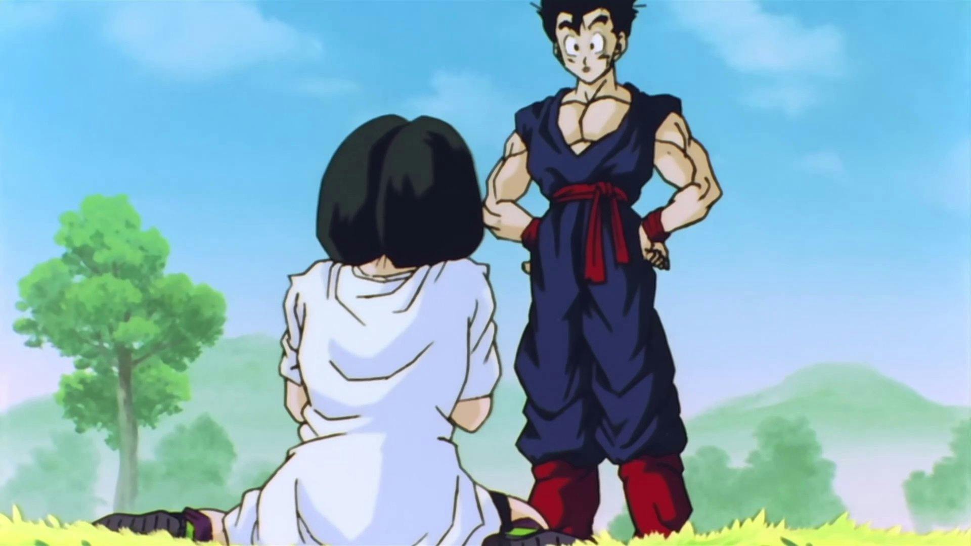 Gohan Ensina Videl a Voar