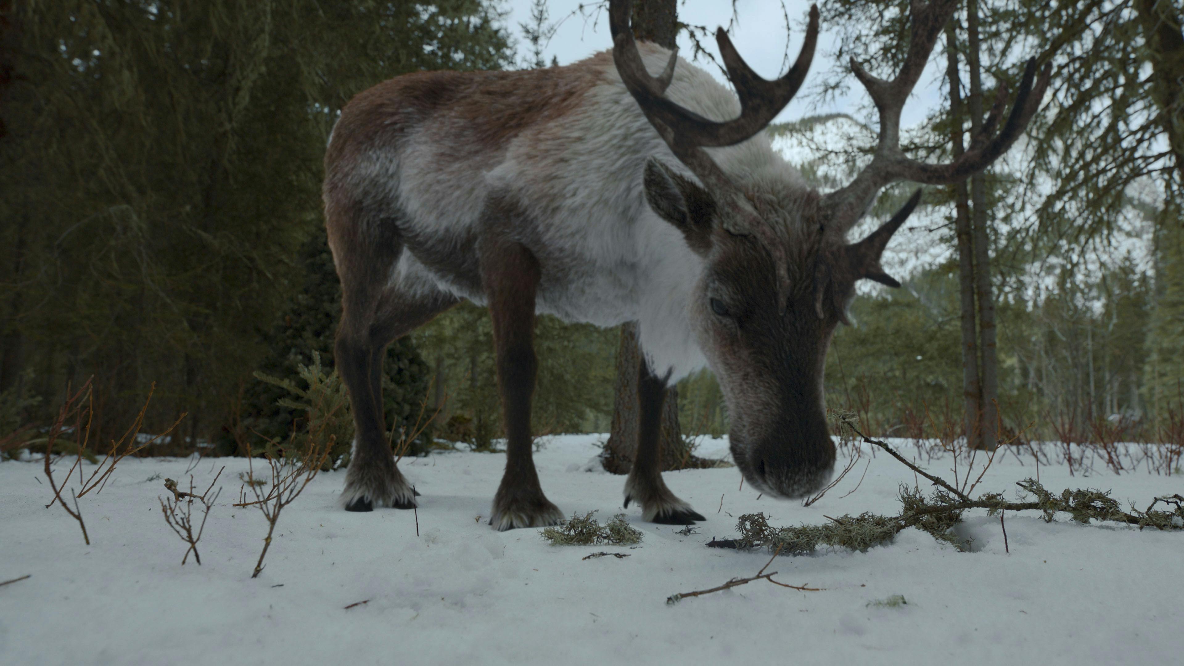 Jane - episódio 1x9